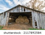 Round Hay Bales Stored In An...