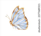 butterfly vector illustration....
