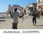 Small photo of Africa, Somalia - September 28, 2011 - In Mogadishu, the capital of Somalia, fishermen take the fish they catch in primitive methods to the market. Some fishermen carry giant sharks on their heads.