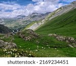Small photo of Alpine landscape with mountain dryads in the background