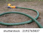 Small photo of Garden hose lying unused on a dry lawn. Hosepipe ban in UK due to drought.