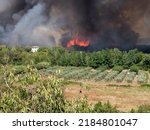 Small photo of Aubais, gard, France - July 31, 2022: Fire in the scrubland on the road between Aubais and Gallargues-le-Montueux. Intervention of firefighters and dash.