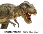 Tyrannosaurus rex isolated in white