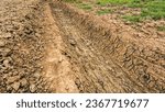 Small photo of Digging ditches, digging soil, digging ditches. Dig trenches for agriculture. Dig a long clay trench to lay pipes or fiber optics. Construction of a wastewater treatment and drainage system.