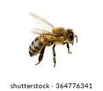 Bee Isolated On The White