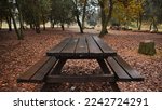 Picnic Table In The Forest In...