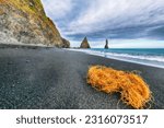 Small photo of Gorgeous landscape with basalt rock formations Troll Toes on Black beach Reynisfjara near the village of Vik. Location: Reynisfjara Beach, Vik Village, Iceland (Sudurland), Europe