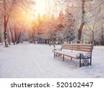 Park bench and trees covered by heavy snow. Lots of snow. Sunset