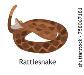 Rattlesnake Color Flat Icon