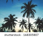 Palm Trees On The Background Of ...