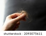 Small photo of A hand with a clot of hair on the gray background, home environment, hair loss, the effects of the disease, the control of Tamils, the change of seasons, the blonde hair of the roots