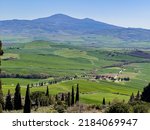 Panorama among the cypresses of Pienza