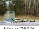 Small photo of Birch sap in a glass. Birch earrings. Birch branches. Collection of birch sap.
