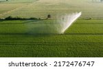 Small photo of Aerial view by a drone of a potato field being irrigated by a gigantic and powerful irrigation system. High quality photo