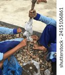 Small photo of elementary school photo of learning to graft in Indonesia, January 12 2023
