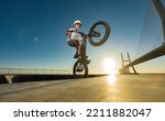 Small photo of A teenager BMX Racing Rider performs tricks in a skate park on a pump track.