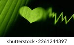 Small photo of Conceptual Photo. World Environment Day. Global Health Awareness. Green Leaf with Backlit technic as Heart Shape and Beat Rate. Environmental to Love, Care and Sustainable Resources