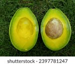 Small photo of the simple beauty of a split avocado is revealed clearly. Cut and open avocados reveal soft, nutrient-rich green flesh. Each piece of avocado reveals the softness and smoothness of its flesh