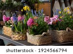 Happy Spring Mood Baskets Of...