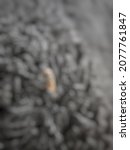 Defocused abstract background...