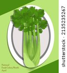 fresh celery with many leaves... | Shutterstock .eps vector #2135235267