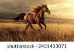 Majestic horse in golden field...