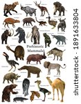 Prehistoric Mammals 3d...