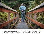 Small photo of Doodle red setter and man walk down forest bridge
