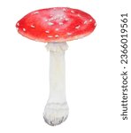 Red fly agaric. watercolor hand ...