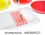 Small photo of pipette test sample research test lab elisa ninety-six well plate analysis