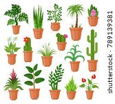 house pot plants. green indoor... | Shutterstock .eps vector #789139381