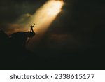 Small photo of Christian praying to God and man shouting with arms raised to God, pain and trial and sorrow darkness and bright light and rays, hope and despair concept