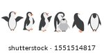 Happy Penguin Characters In...
