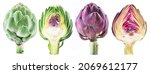 Small photo of Purple and green artichoke flowers and artichoke cross cuts. Edible bud isolated on white background.