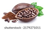 Small photo of Dried cocoa beans in the half of cocoa pod isolated on white background.