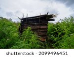 Bamboo Hut In The Bush