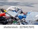 Little egret (Egretta garzetta) is in a trash heap looking for food