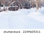 Winter lane between trees covered with frost.Snowy tunnel in parkland.Snowy white background with alley in grove.Path among trees with hoarfrost during snowfall. Atmospheric winter landscape.