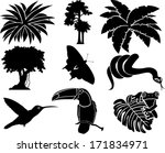 Vector Set Of Jungle Icons With ...