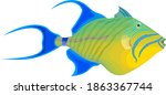 Vector Fish Queen Triggerfish...