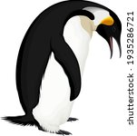 vector wild emperor penguin... | Shutterstock .eps vector #1935286721