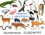 Vector Set Of Animals Of...