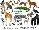 Wild African Animals Set With...