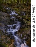 Small photo of Szepit waterfall, Hylaty torrent, Bieszczady Mountains, Bieszczady, Zatwarnica, the wildest region in the Poland, unique wooded mountain landscapes, Poland