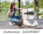 Asian Girl Feeding Ducks In The ...