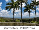 Panoramic View of East Coast taken from Welchman Hall Gully, St. Thomas, Barbados 
