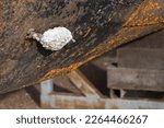 Small photo of White corroded anode on the black underwater hull of a motorboat on trestle in winter storage. Metal ships are protected with base metal anods, which will corrode instead of the metal it self.