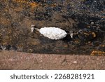 Small photo of White corroded anode on the black underwater hull of a motorboat on trestle in winter storage. Metal ships are protected with base metal anods, which will corrode instead of the metal it self.