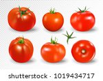 tomato set. red tomato... | Shutterstock .eps vector #1019434717