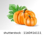 set vegetable pumpkins with... | Shutterstock .eps vector #1160416111